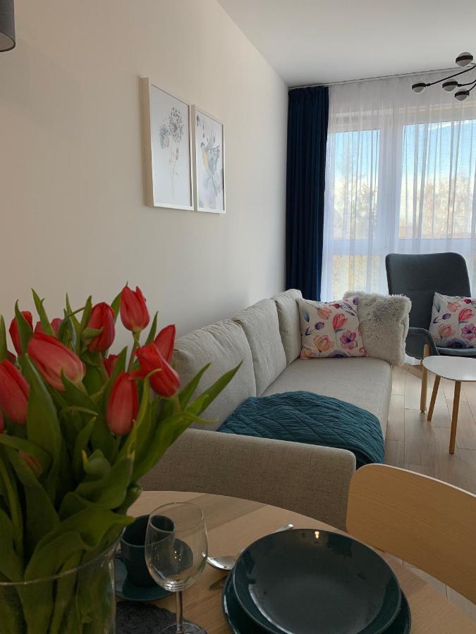 Apartamenty Bliska 33 Bielsko-Biala Luaran gambar